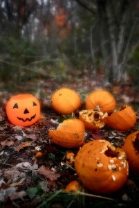 The Broken Silence of the Woods ♪ Any Vision,autumn,Calabaza,Cucurbita,Diospyros,Ebony trees and persimmons,Food,Fruit,Gourd,Labels,Local food,Orange,Persimmon,Plant,pumpkin,Vegetable,Vegetarian food,Winter squash,Any Vision,Labels,Autumn,Calabaza,Cucurbita,Diospyros,Ebony trees and persi