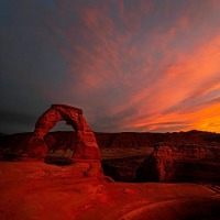 Delicate Red Glow 